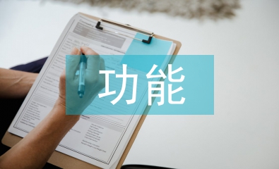 國有經濟功能