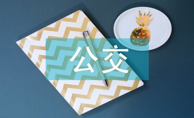 公交企業(yè)財(cái)務(wù)工作總結(jié)