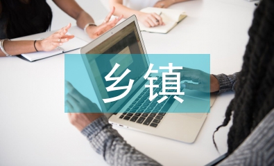 鄉(xiāng)鎮(zhèn)黨建總結(jié)
