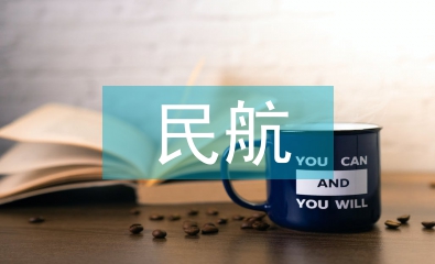 民航服務論文