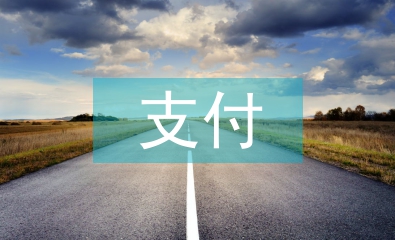 支付結算工作要點