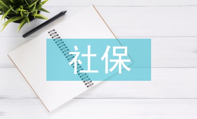 社保稅論文