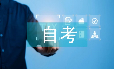 自考小學(xué)教育論文