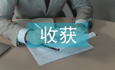 畢業設計體會與收獲