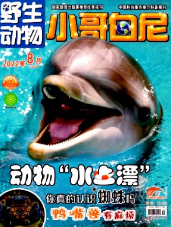 小哥白尼·野生動(dòng)物畫報(bào)